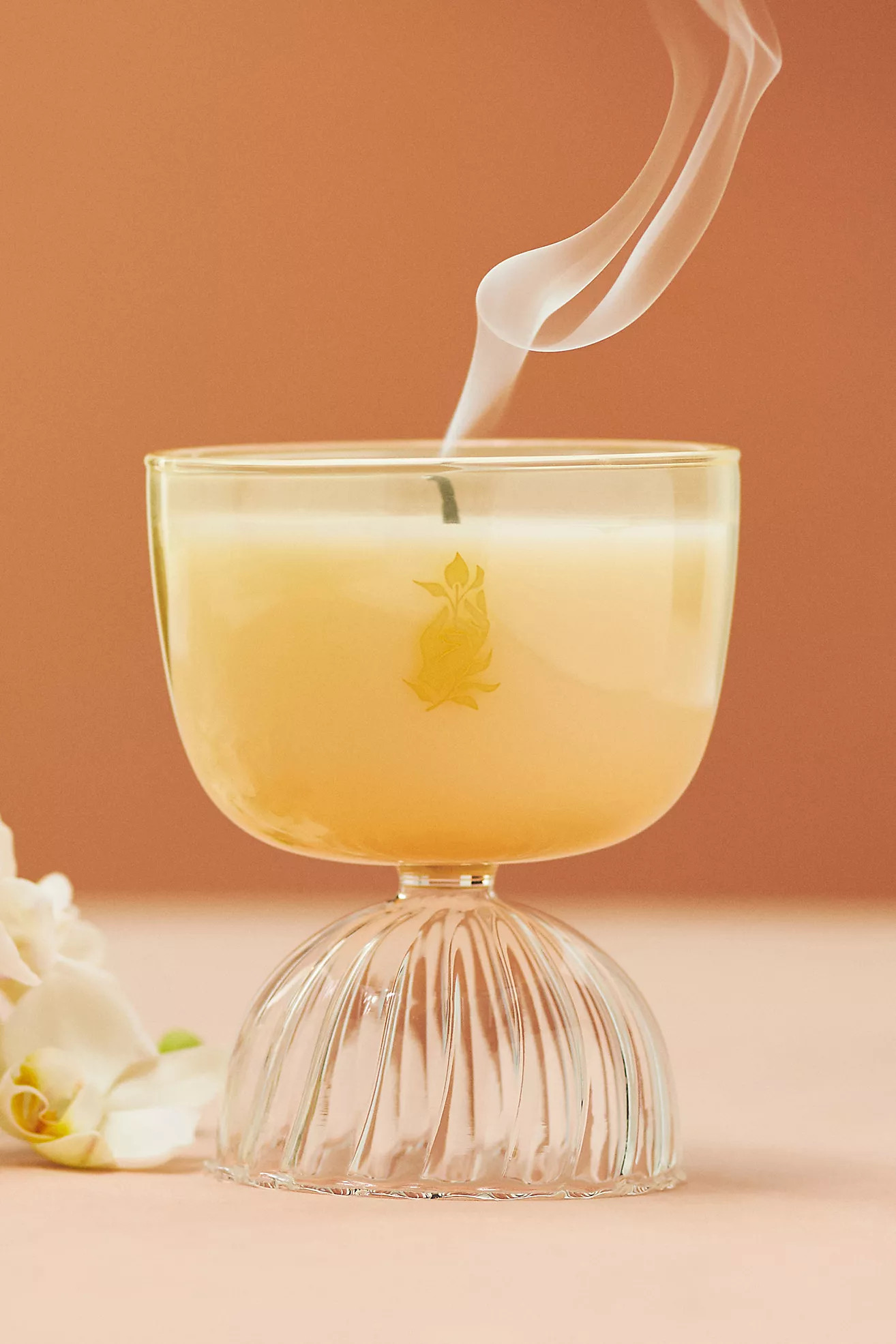 Rewined Champagne Coupe Glass Candle | Anthropologie (US)