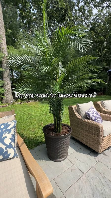 BACK IN STOCK ‼️My 6.5 ft artificial palm trees 🌴are currently 42% off. These UV resistant palm trees are perfect for your patio, backyard oasis, pool, outdoor living. Tropical decor. Shown in 6.5 ft height. Available in different heights.

#LTKVideo #LTKSaleAlert #LTKHome