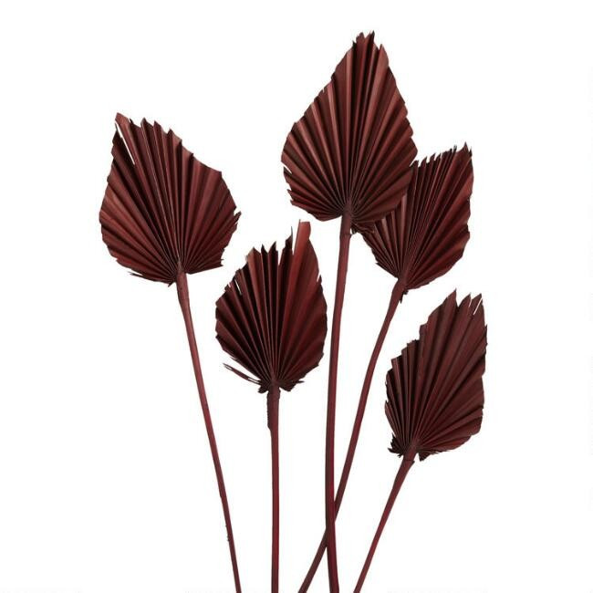 Dried Palm Spear Bunch | World Market