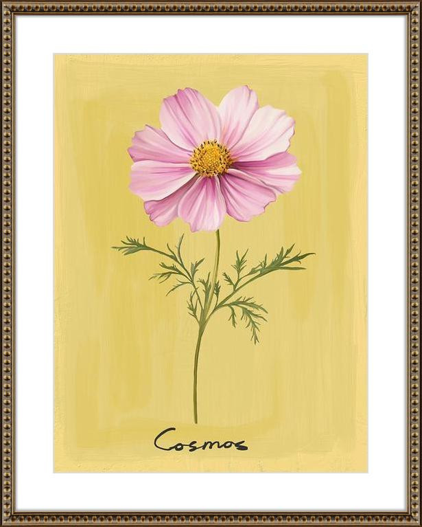 Cosmos flower | Artfully Walls