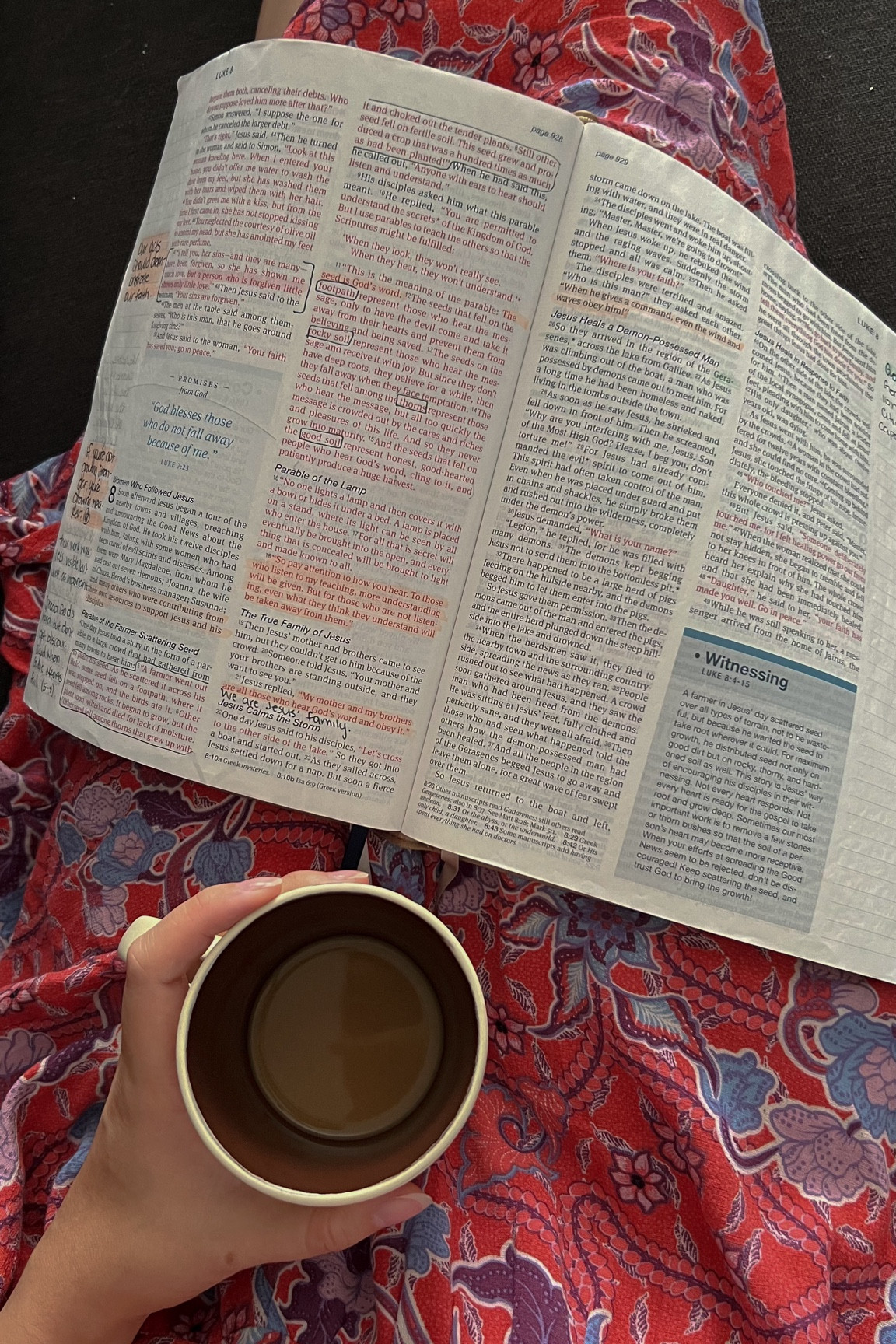 Cozy Bible study time // word before world, one step closer, coffee, aesthetic, journal, dayspring, affordable

#LTKHome #LTKFindsUnder100