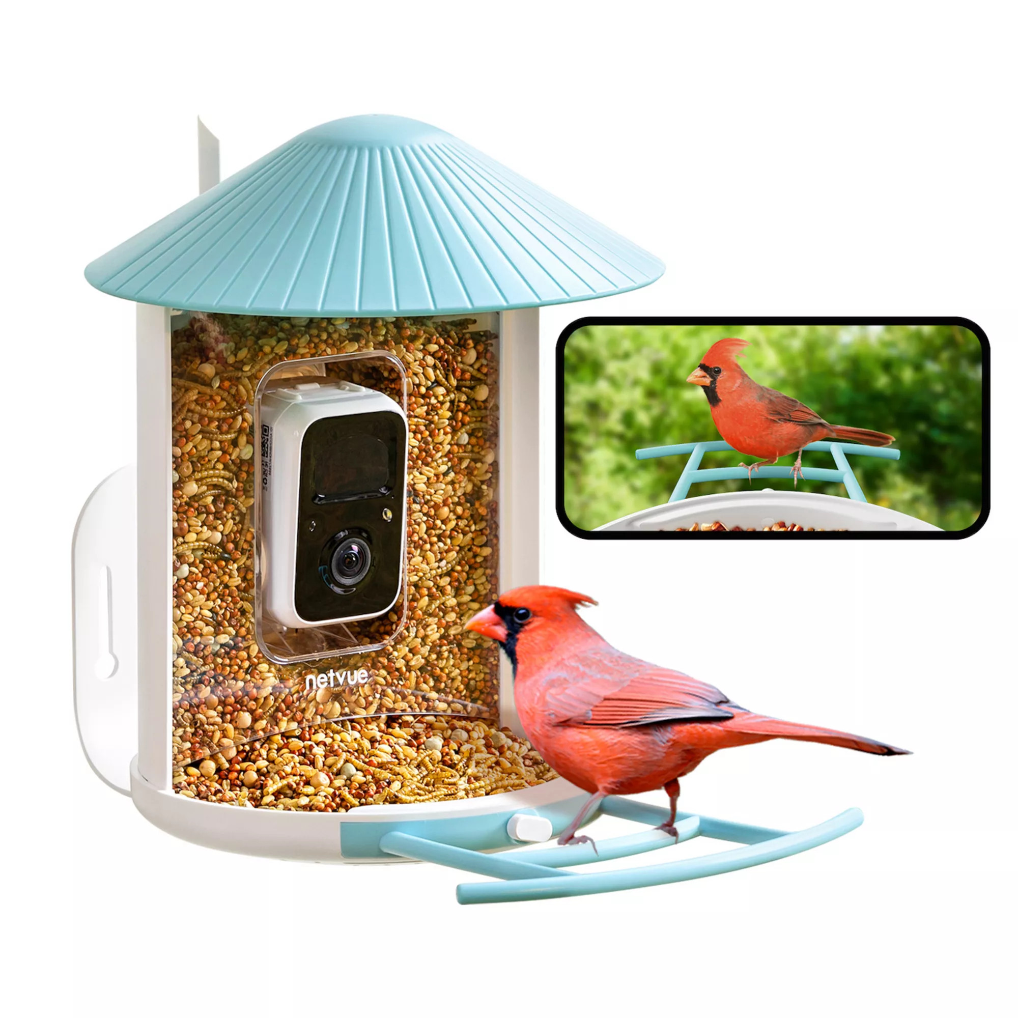 Birdfy Smart Bird Feeder Lite with Camera | Kohl's
