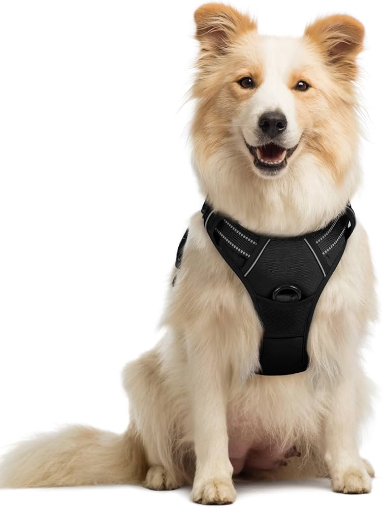 rabbitgoo Dog Harness No Pull with 2 Leash Clips, Adjustable Soft Padded, Reflective Oxford No Ch... | Amazon (US)
