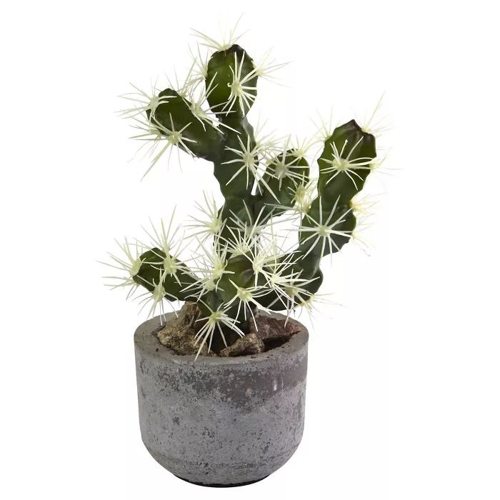 Cactus Potted 2pk - Nearly Natural | Target