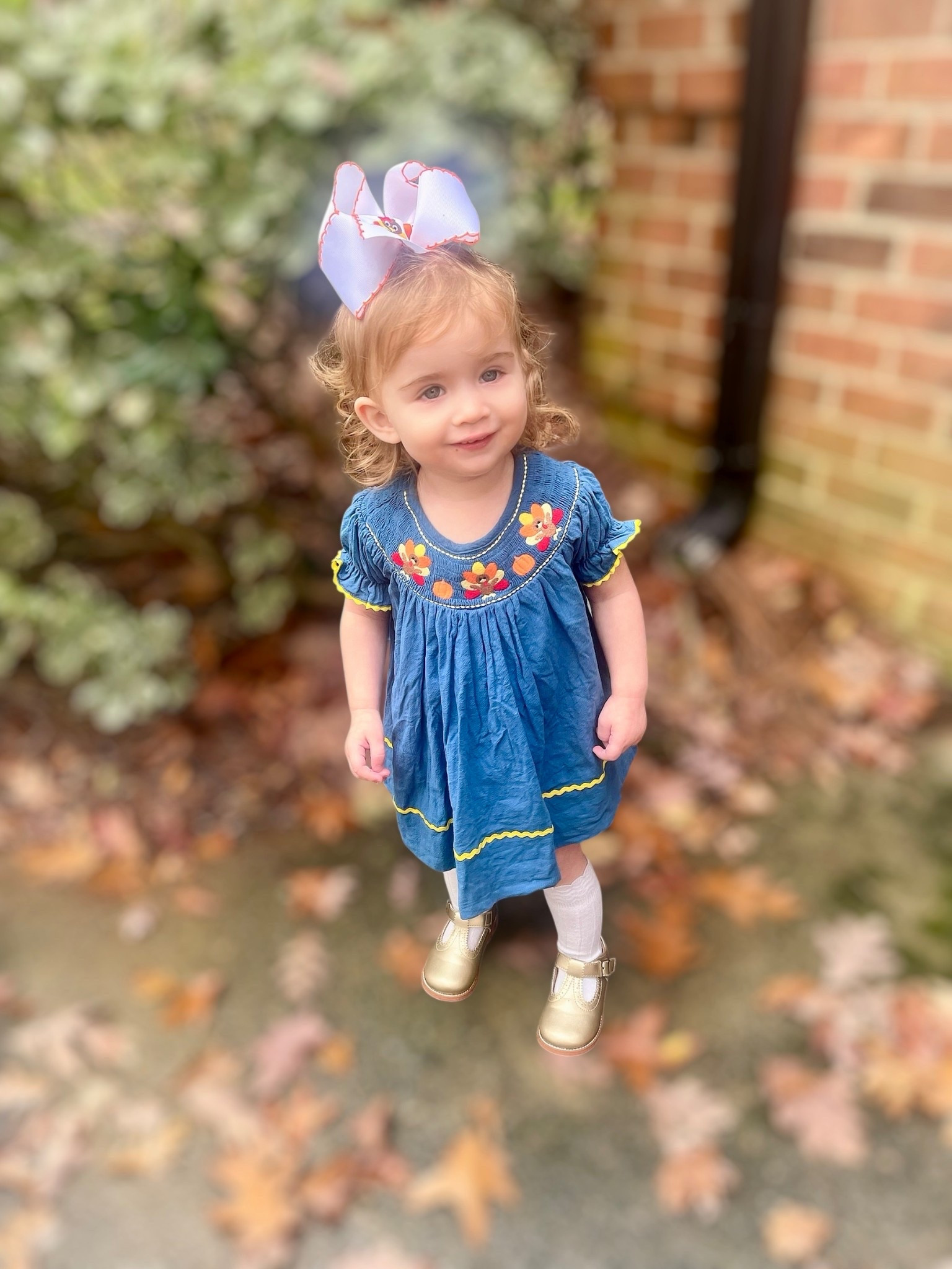 Sweet Fall Toddler Outfit 🍂💛

Caroline’s little fall outfit could not be cuter — her embroidered blue dress, knee-high socks, gold Mary Janes, and oversized moonstitch bow are the perfect mix of playful and classic. I linked similar pieces so you can recreate this look for your little one. The gold shoes are such a staple, and the bows + knee socks are my go-to for making any outfit feel extra sweet.

Perfect for school days, church, family photos, or Thanksgiving week errands — comfy, colorful, and toddler-approved.

Shopping inspo: toddler fall outfit, embroidered baby dress, gold Mary Janes, knee-high socks, moonstitch bow, girly toddler style, baby girl Amazon finds, toddler holiday outfits, everyday toddler looks.

#LTKKids #LTKHoliday #LTKBaby