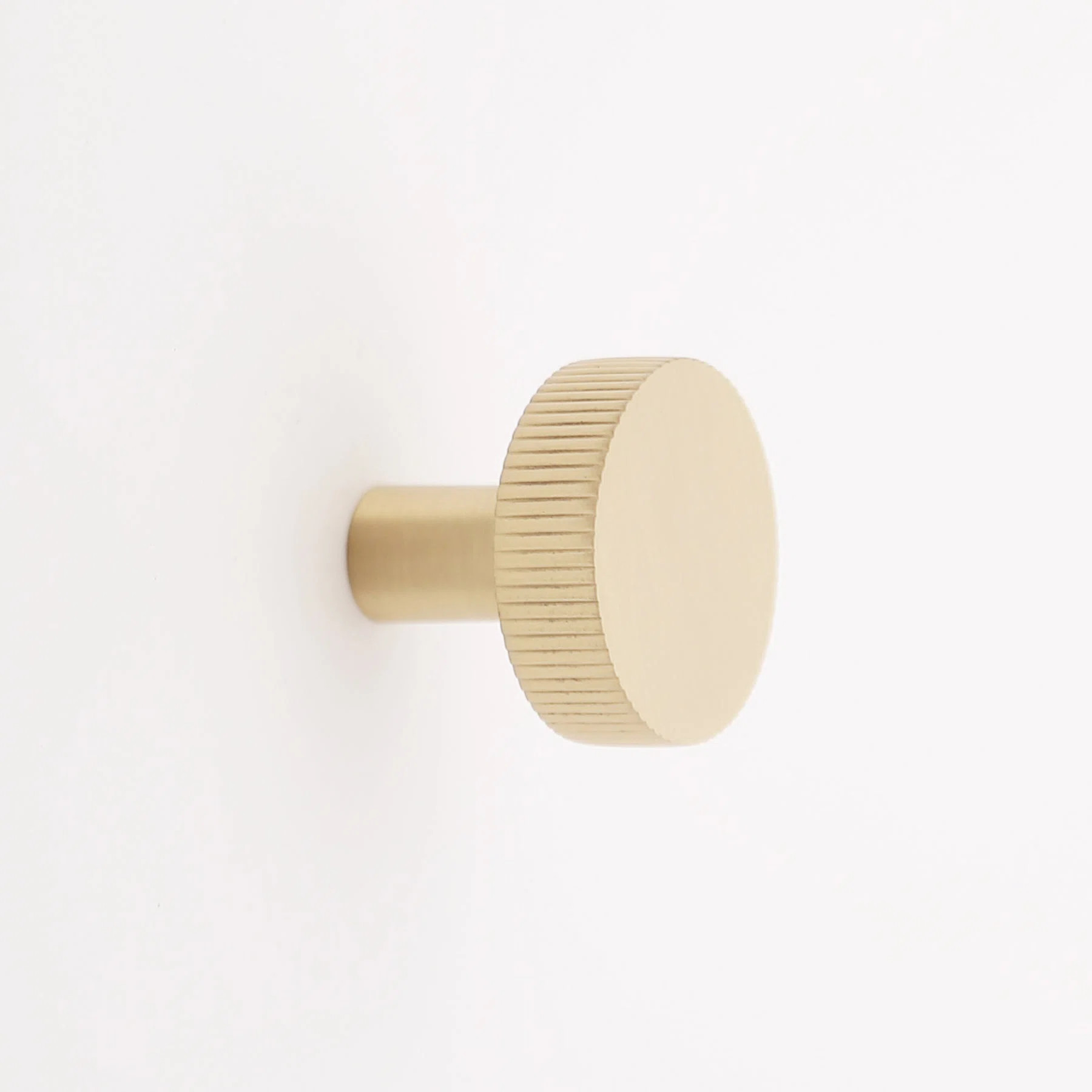 Arlene 1.25" Diameter Circle Knob | Wayfair North America