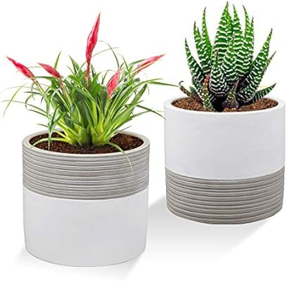 Brief Succulent Pots, 5 inch Diameter, 2 Pack Modern Cement Cactus Flower Aloe Snake Plant Plante... | Amazon (US)