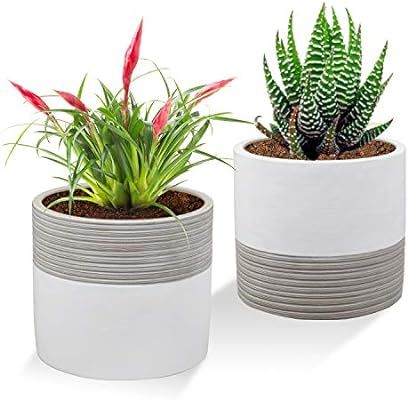 Brief Succulent Pots, 5 inch Diameter, 2 Pack Modern Cement Cactus Flower Aloe Snake Plant Plante... | Amazon (US)