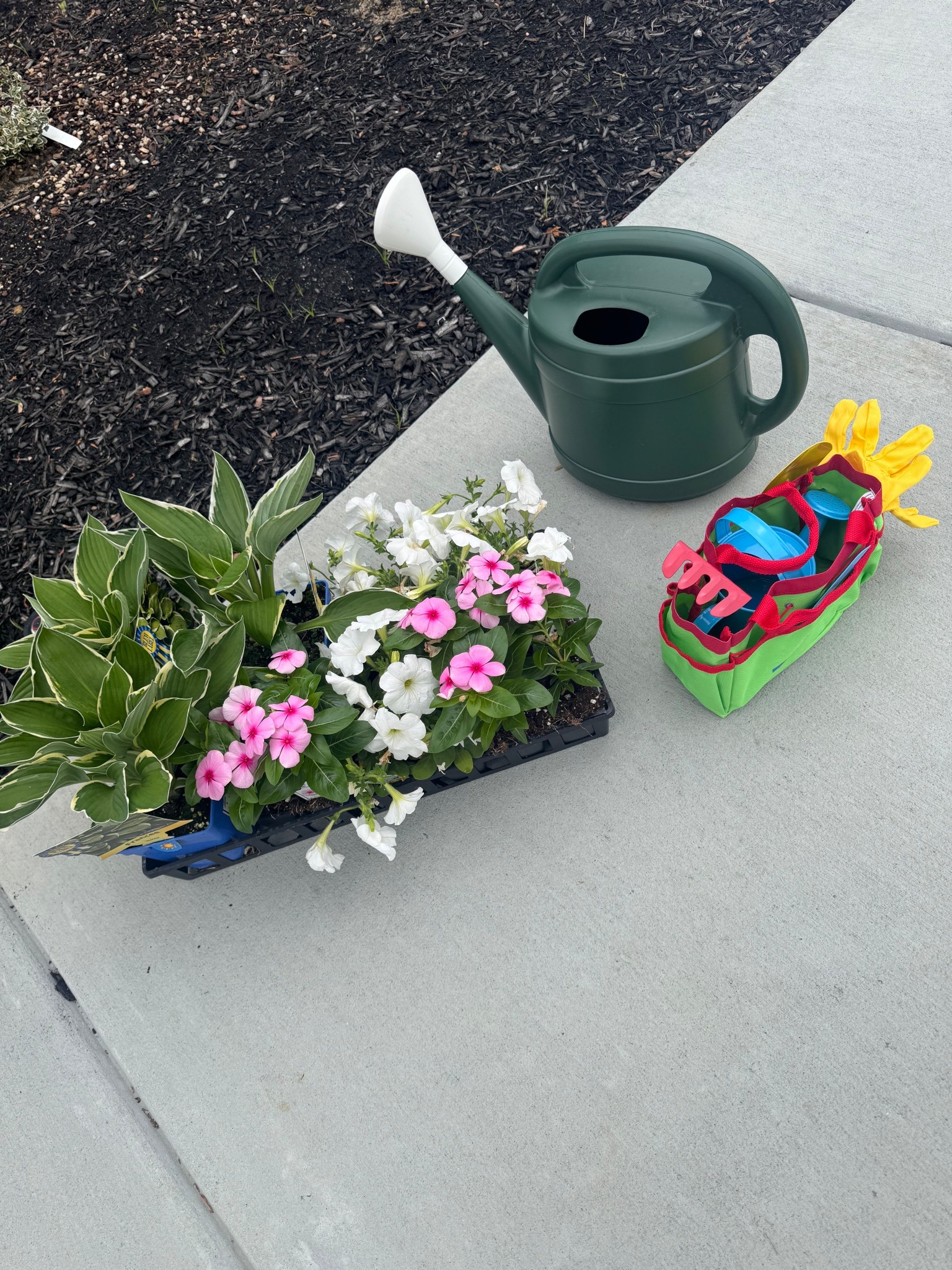 Gardening essentials for kids 🪴🪏#gardening #homedecor 

gardening tools kids
home diy
home decor
home landscaping
spring home 2026

#LTKHome #LTKKids