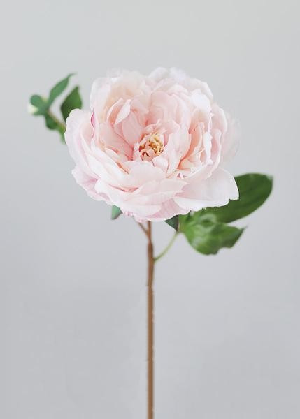 Faux Peony Flower in Light Pink | Afloral (US)