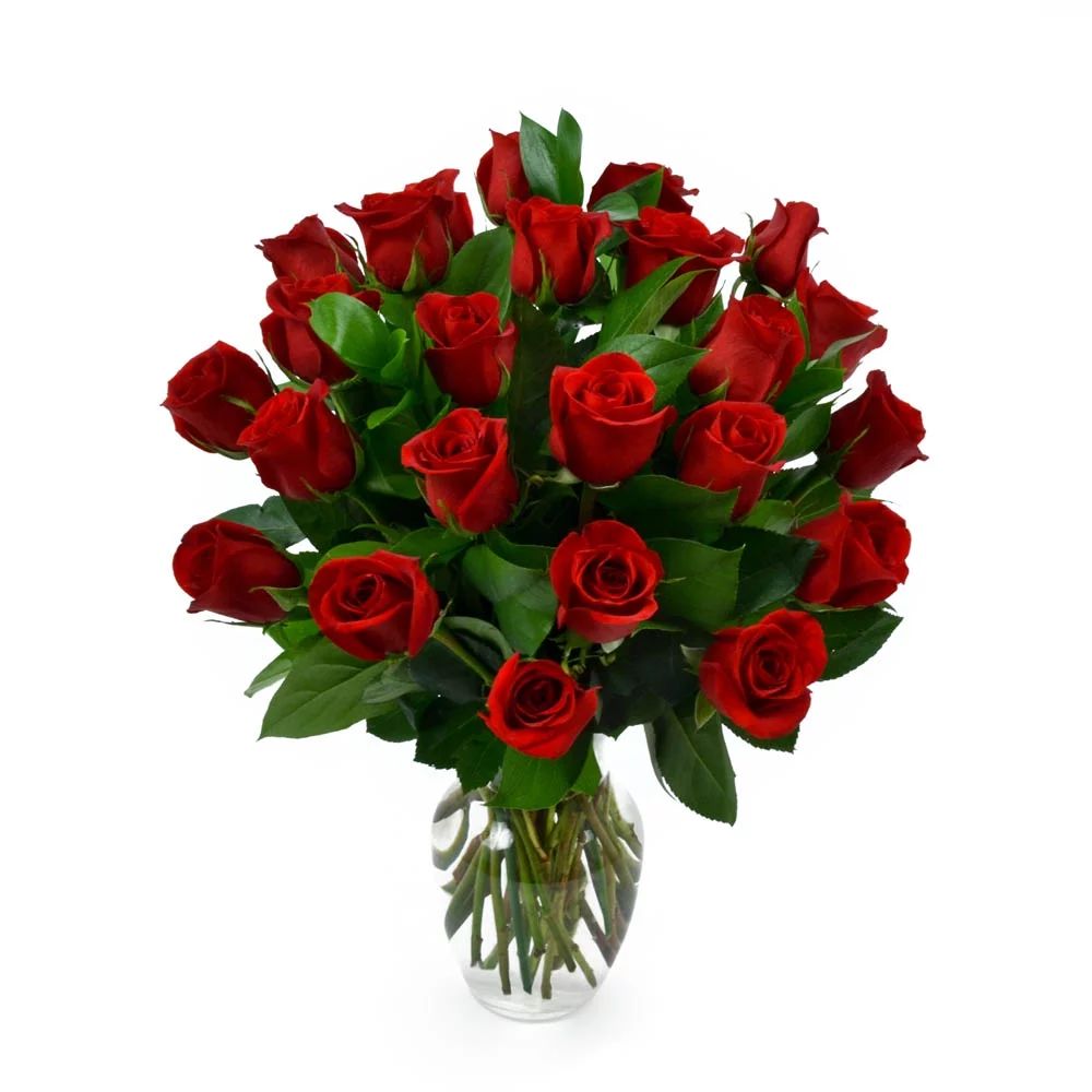 Valentine's Day, Red Roses with Premium Greens, Two Dozen, Vase Included | Walmart (US)
