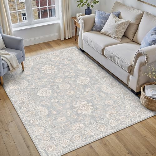WondRg 4x6 Washable Area Rug for Entryway Non-Slip Blue Neutral Distressed Carpet Low Pile Soft T... | Amazon (CA)