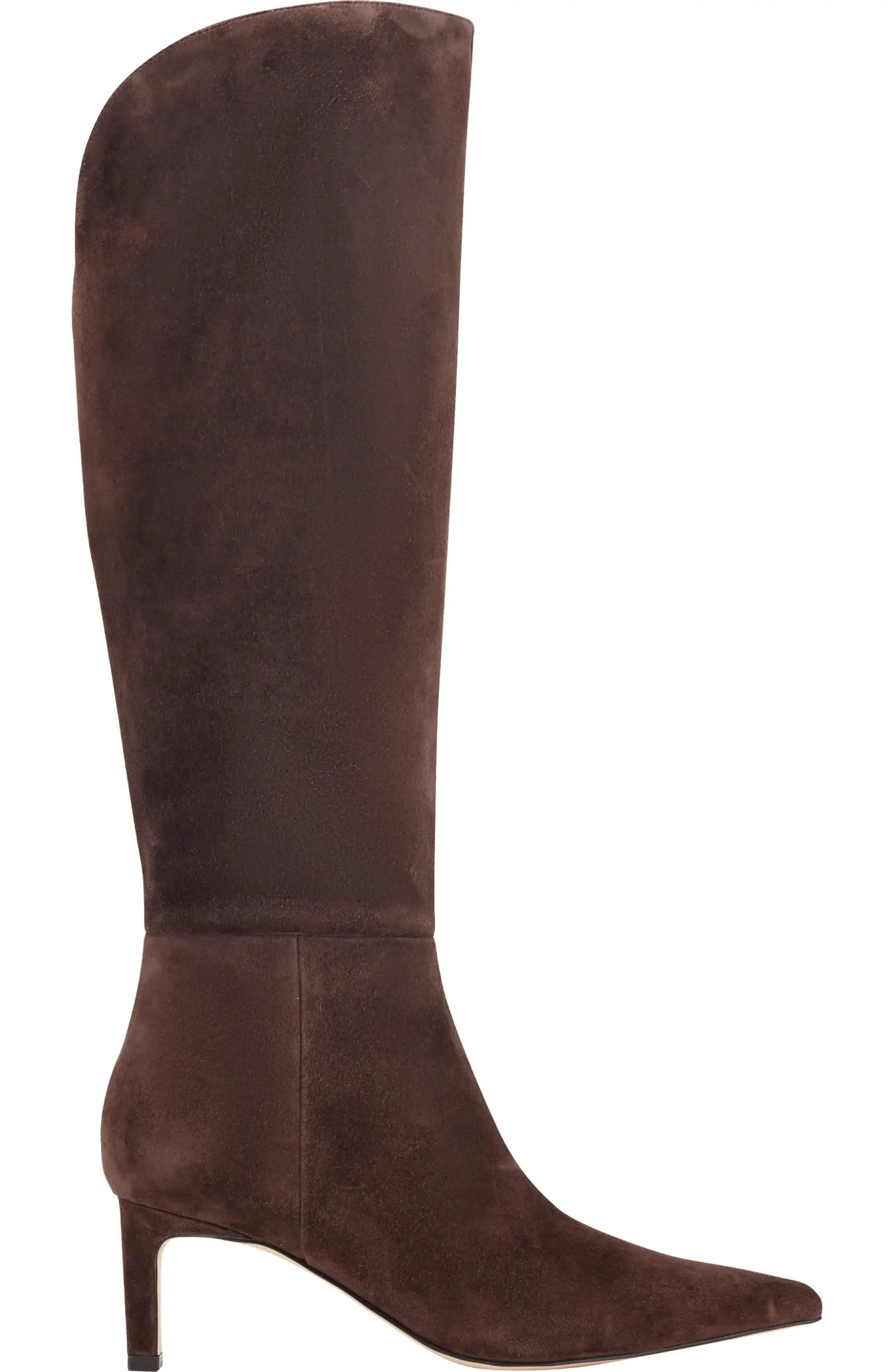 Esmee Pointed Toe Knee High Boot (Women) | Nordstrom