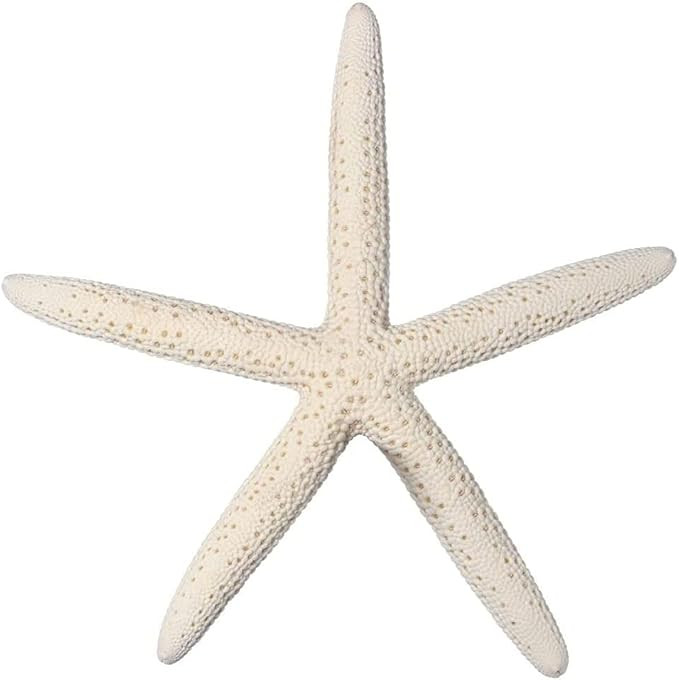 10 White Finger Starfish 6" to 8" Nautical Home Decor | Amazon (US)