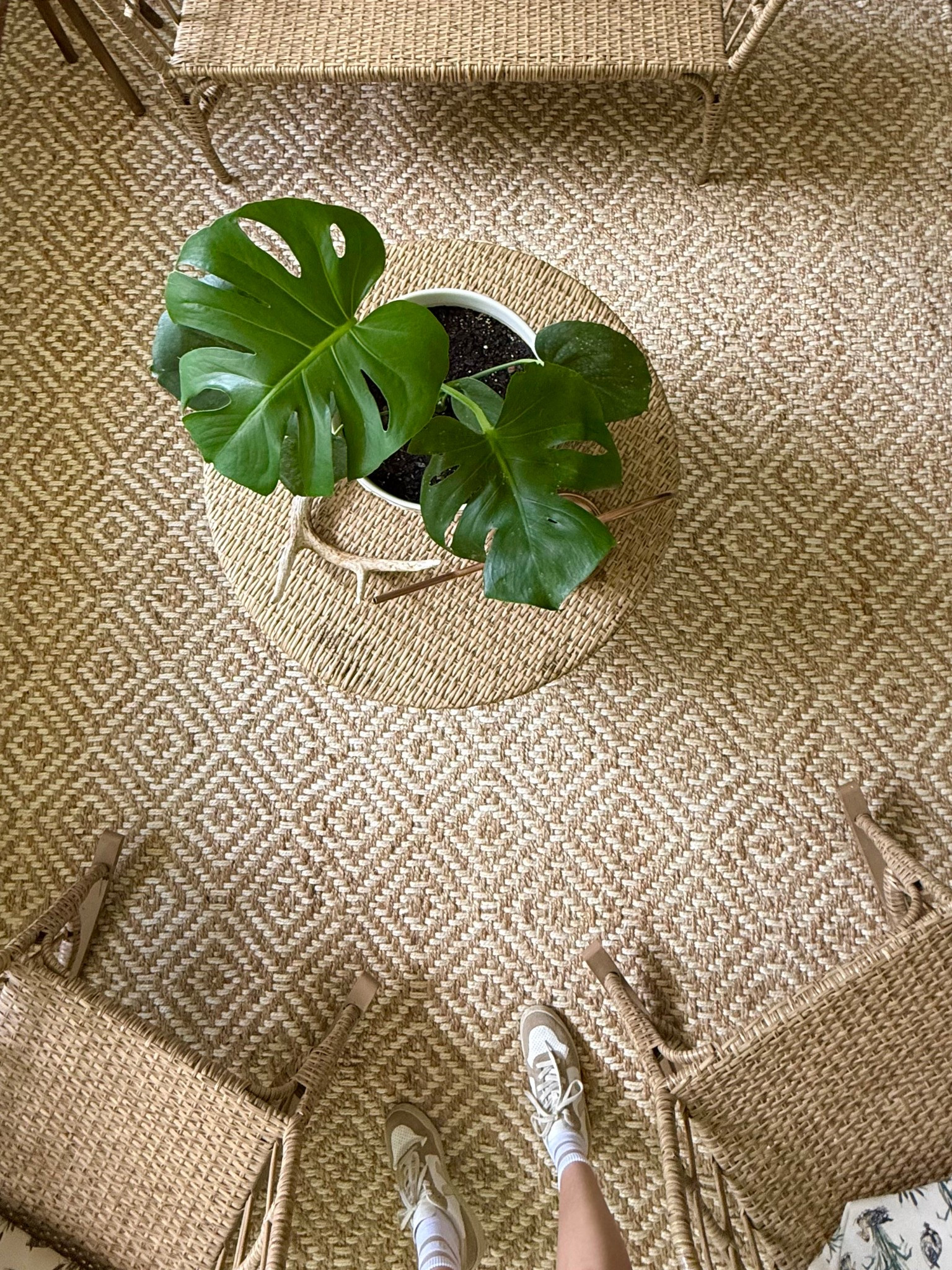 Love this jute woven rug from Amazon! Perfect with my wicker patio furniture!

#LTKHome #LTKSeasonal