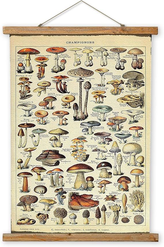 Vintage Hanging Posters, Decorative Mushroom Wall Art Prints, Printed on Linen with Wood Frames, ... | Amazon (US)