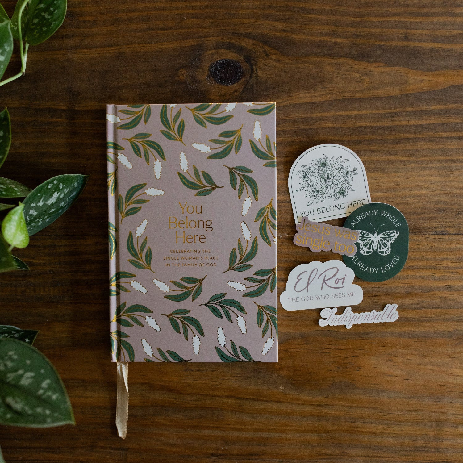 You Belong Here Sticker Bundle | The Daily Grace Co.