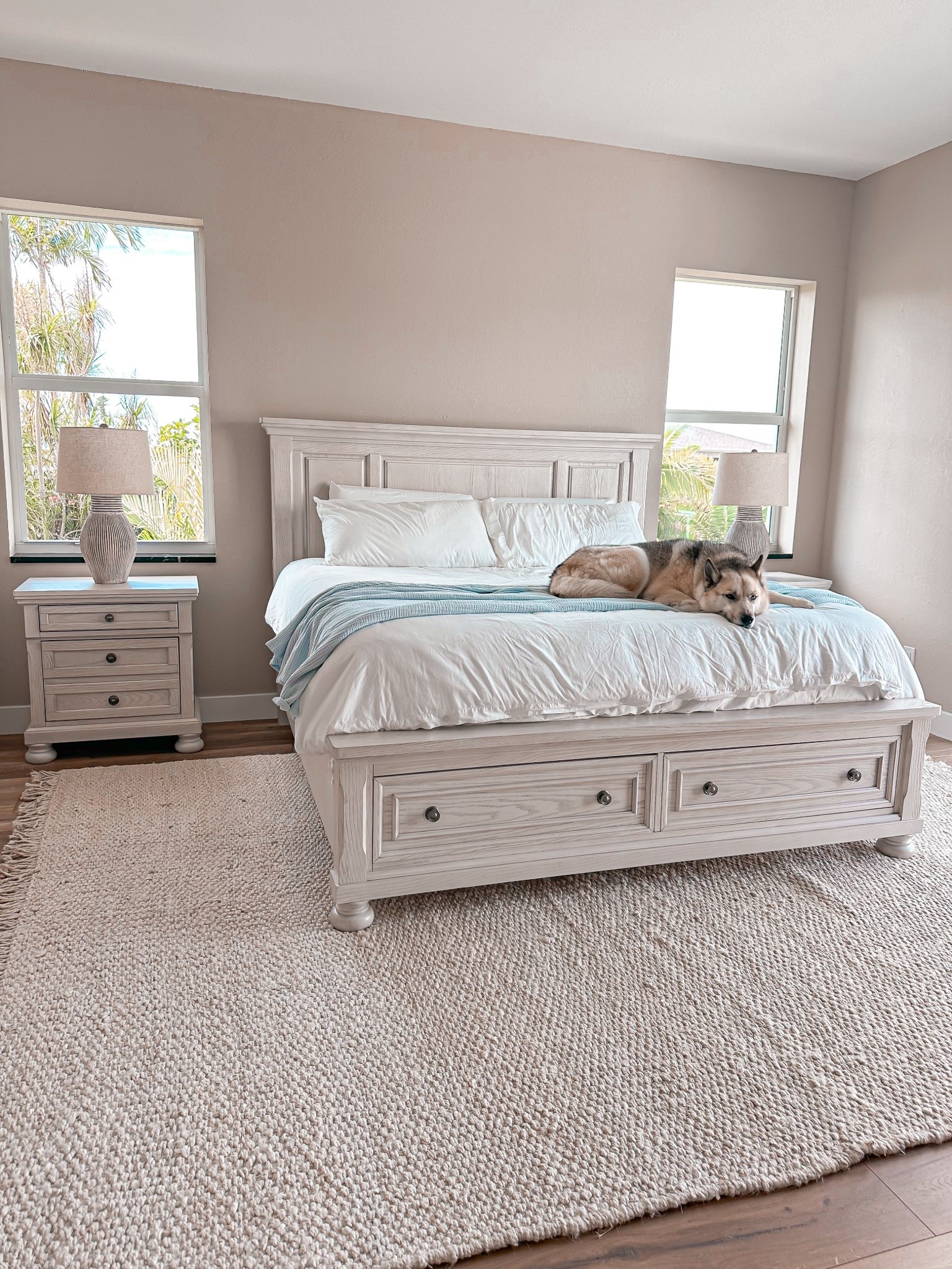 #LTKPets #LTKFindsUnder100 #LTKHome