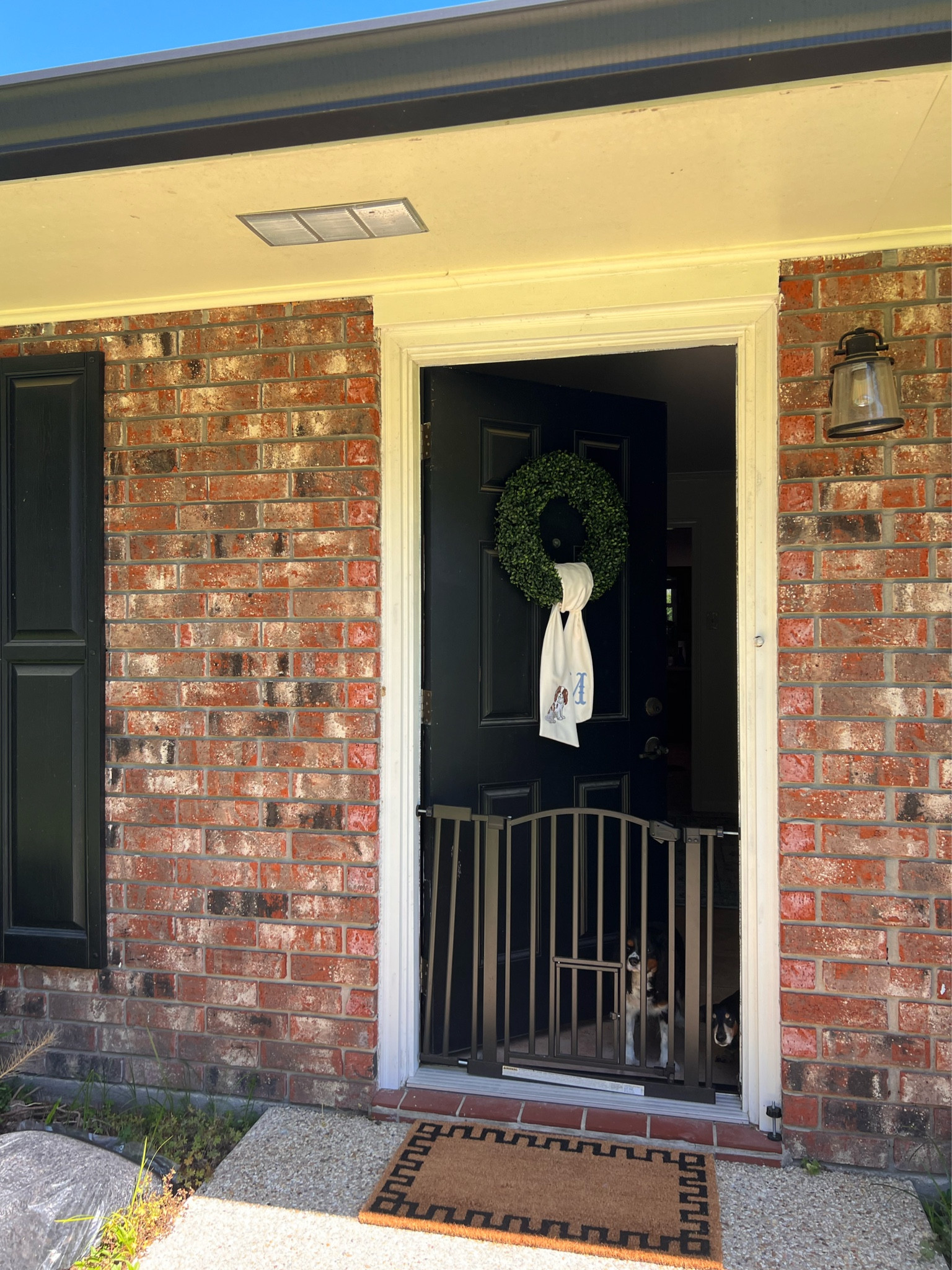 Doggie gate! 

#LTKhome