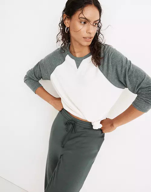 MWL Skyterry Baseball Tee in Colorblock | Madewell