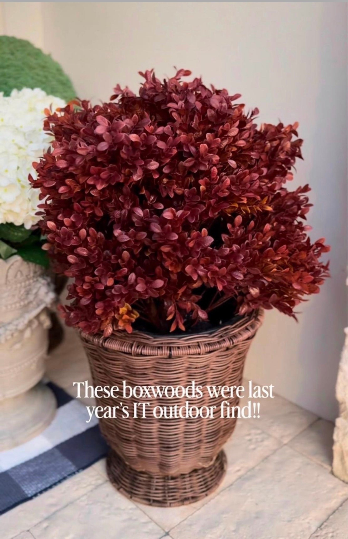 These boxwoods were last year’s IT 
outdoor find!

Follow me @miriamobrien  on IG and TikTok 

#Amazon #Boxwoods #Fall #MustHave #HomeDecor #Faux

#LTKHome #LTKOver40 #LTKSeasonal