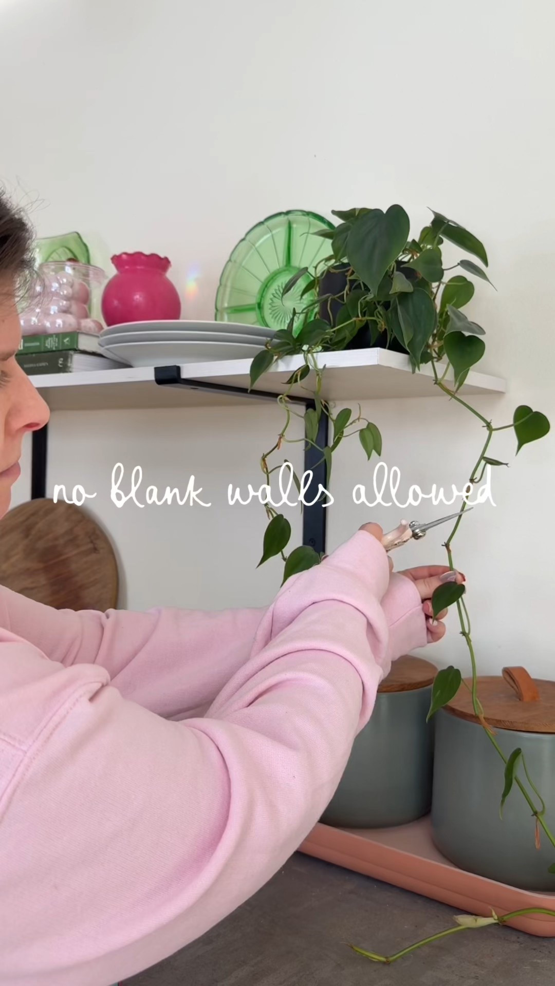 This narrow wall needed something so I decided to add this cutie plant hanger with a propagated plant! 🪴 

No blank walls allowed in my house!



#LTKstorytime #LTKSeasonal #LTKHome