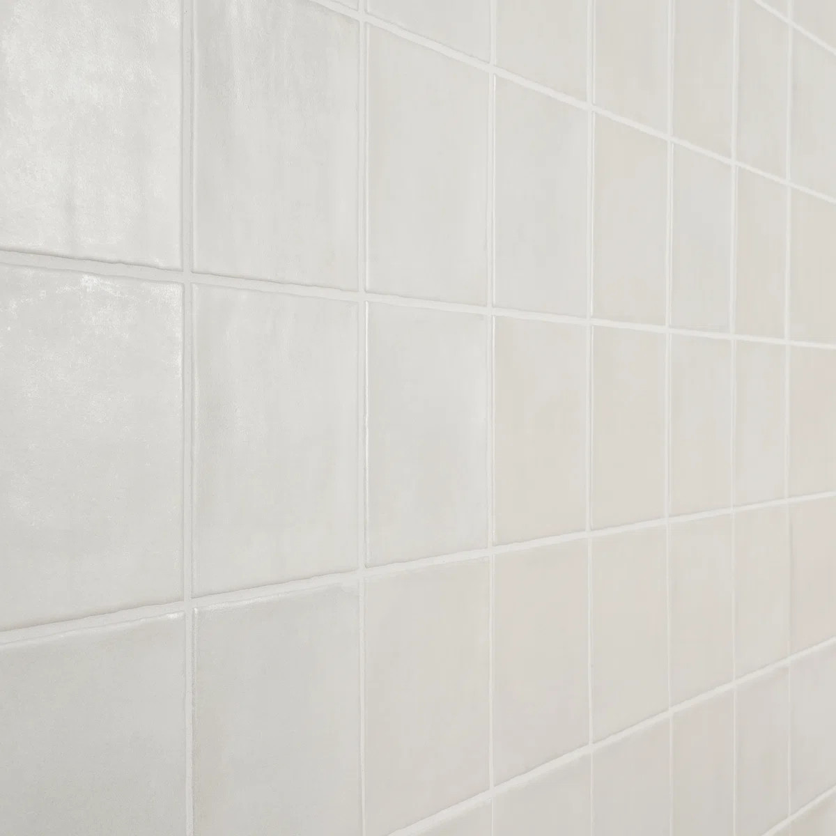 Paula Purroy Antoni 5.11 In. X 5.11 In. Matte Ceramic Wall Tile (6.02 Sq. Ft. / Case) | Wayfair North America