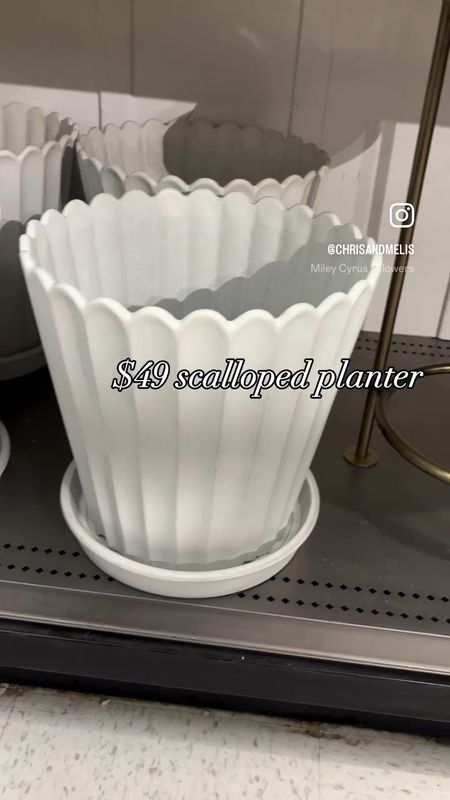 My favorite planters and vases from $5-$50! The four in this video are some of my favorite new pieces at Target!

Vases, planters, home decor. 


#LTKhome #LTKfindsunder50 #LTKsalealert