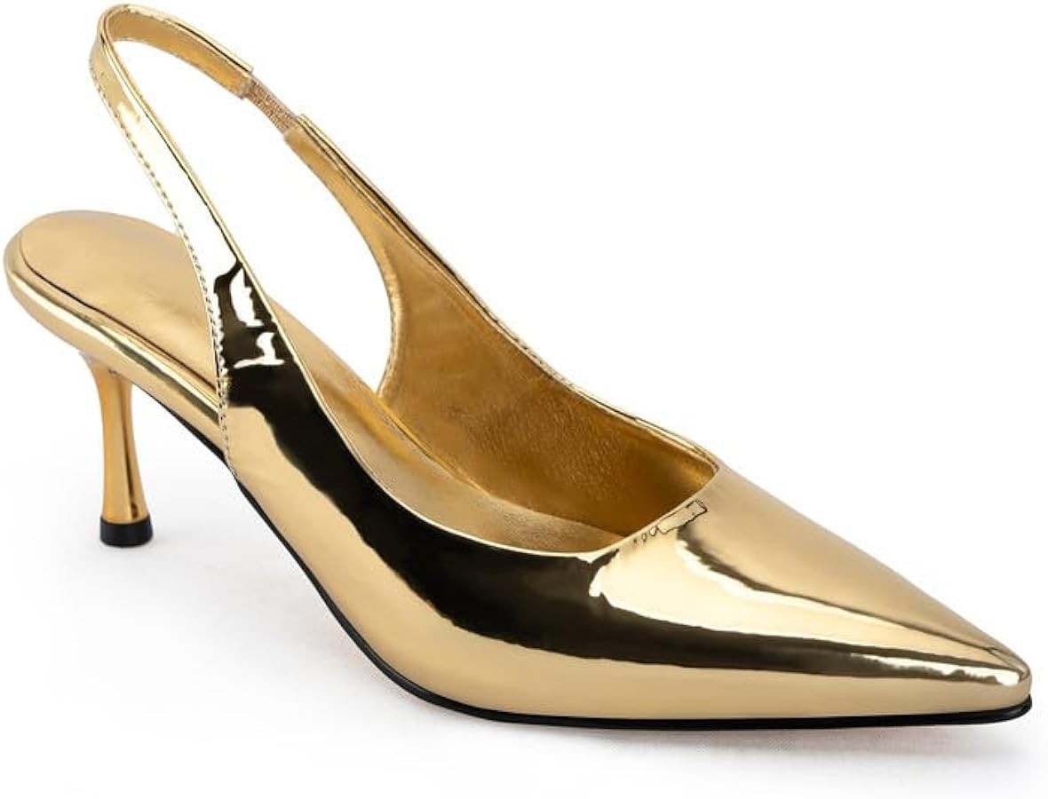 heelchic Metallic Pumps Shoes Women,Slingback Heels for Women,Sling Back Kitten Heels,Dress Shoes... | Amazon (US)