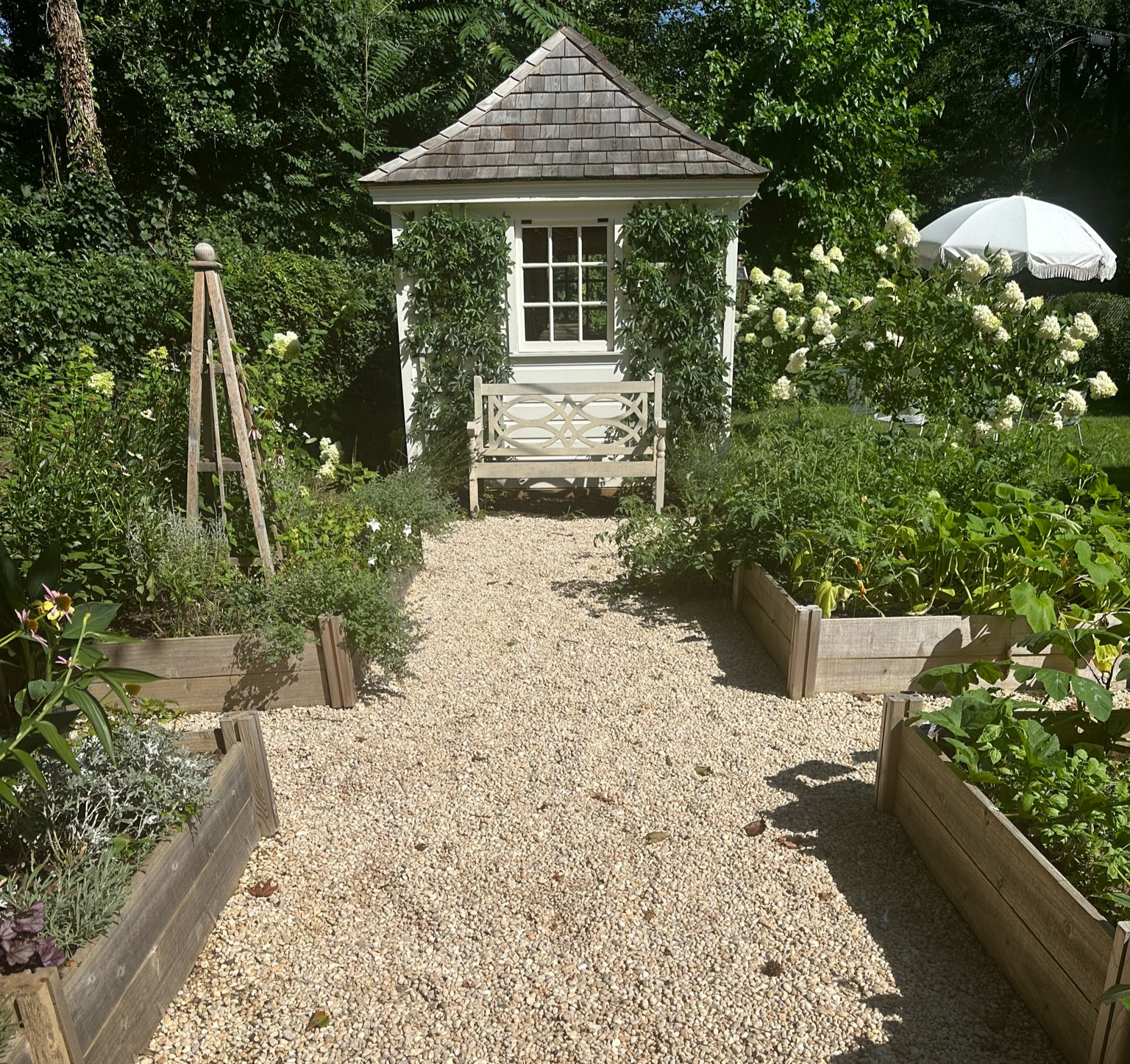 Soaking up the last days of Summer 🌿

#LTKBacktoSchool #LTKhome