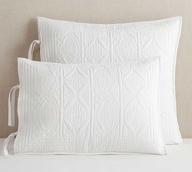 Hanna Cotton/Linen Shams | Pottery Barn (US)