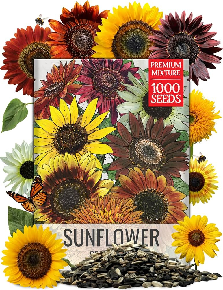 Seed Needs Sunflower Seeds to Plant Original Crazy Blend 1 Ounce Bulk Pack | Amazon (US)