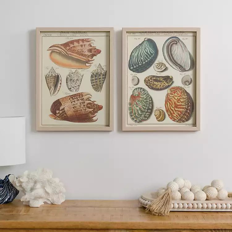 New! Antique Seashells Framed Art Prints, Set of 2 | Kirkland's Home