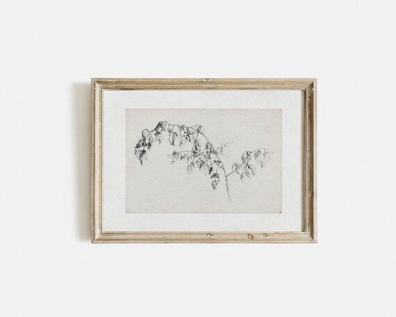 Antique botanical sketch Botanical drawing horizontal | Etsy | Etsy (US)
