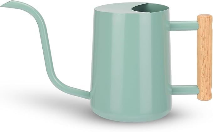 CEWOR Watering Can Indoor Plants Green 35oz Cute Watering Can Indoor Metal Watering Can Pot with ... | Amazon (US)