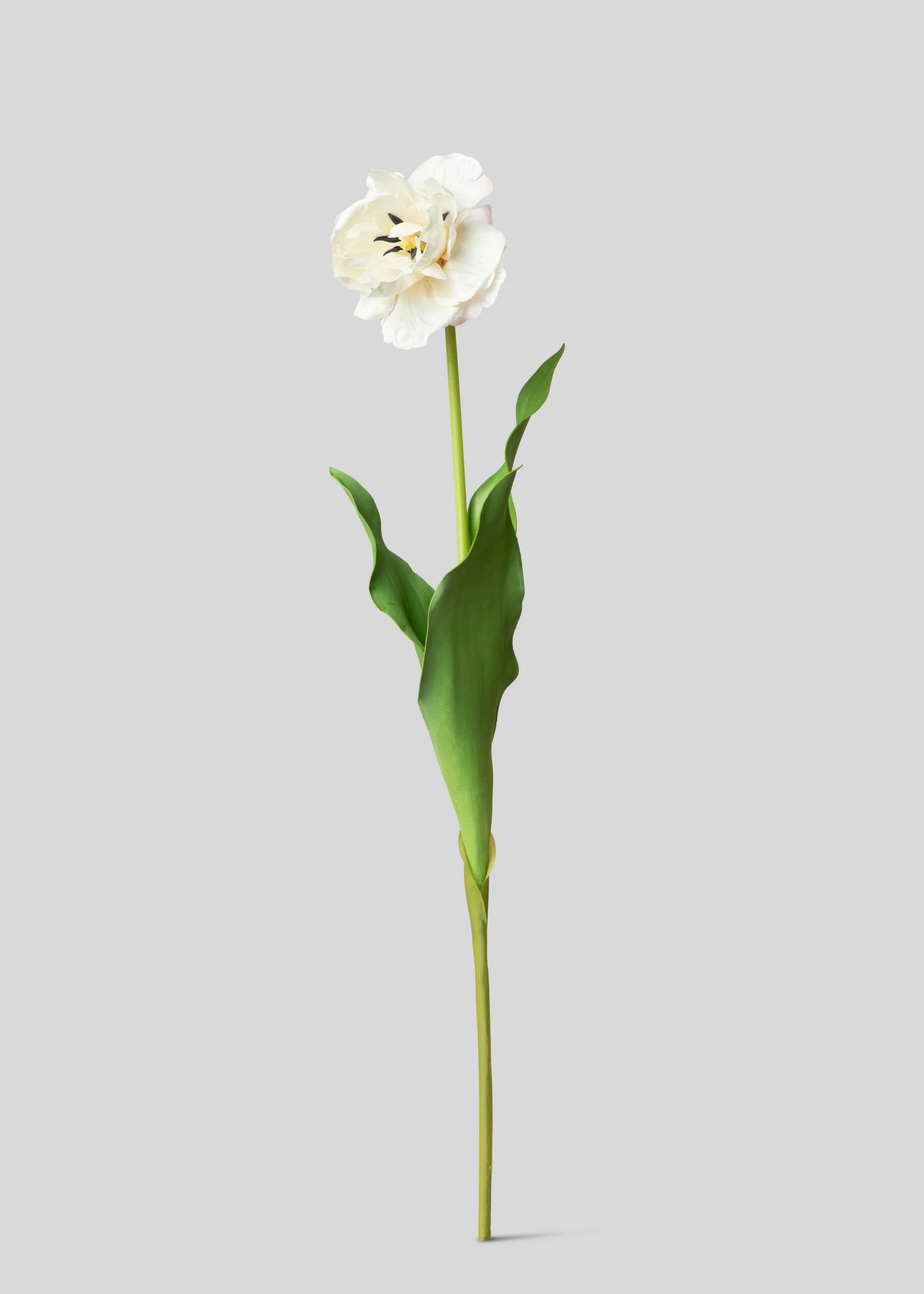 Cream Real Touch Tulip Stem | Permanent Fake Spring Flowers | Afloral | Afloral