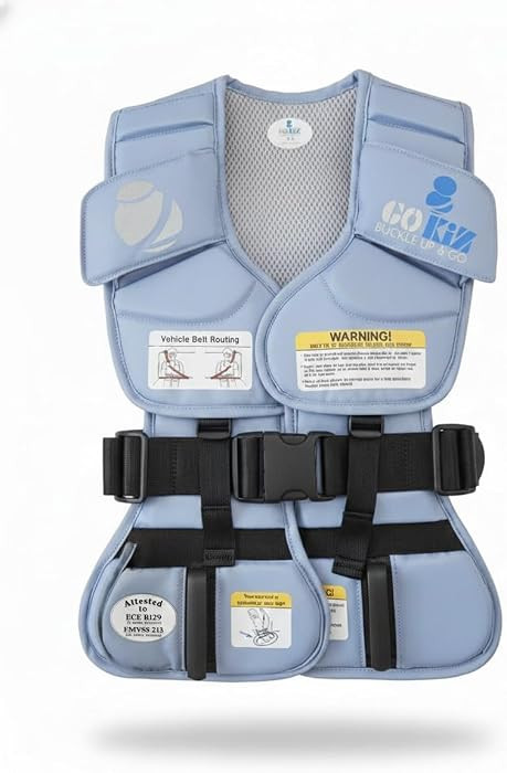 801 Child Restraint Vest \u2013 Lightweight Portable Car Seat Belt Positioner, Travel Safety Harn... | Amazon (US)