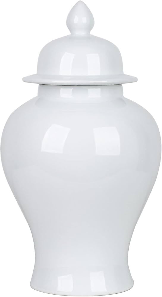 ZRLWIVE White Ceramic Ginger Jars Egg-Shell Porcelain Home 14‘’ China Decorative Tall Large F... | Amazon (US)