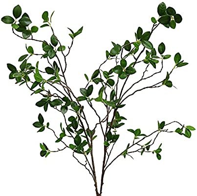 Htmeing Artificial Eucalytus Green Branches Faux Ficus Twig Home Office Shop Decoration (2PCS) | Amazon (US)