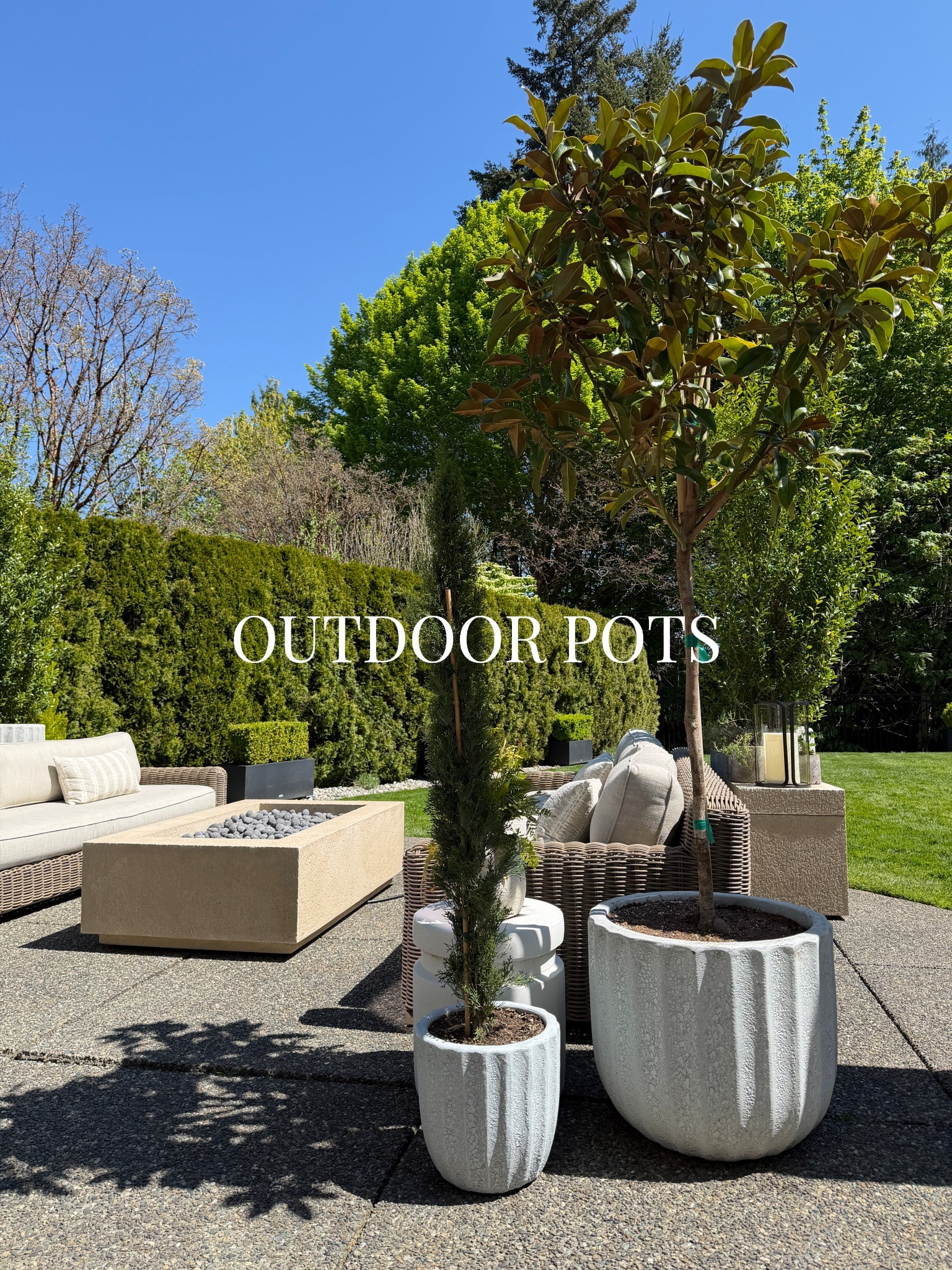 Outdoor pots 🌱☀️ 

#LTKSeasonal #LTKHome #LTKdayinmylife