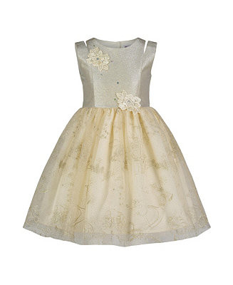 Blueberi Boulevard Toddler and Little Girls Fit-and-Flare Gold Tulle Floral Applique Dress - Macy... | Macy's