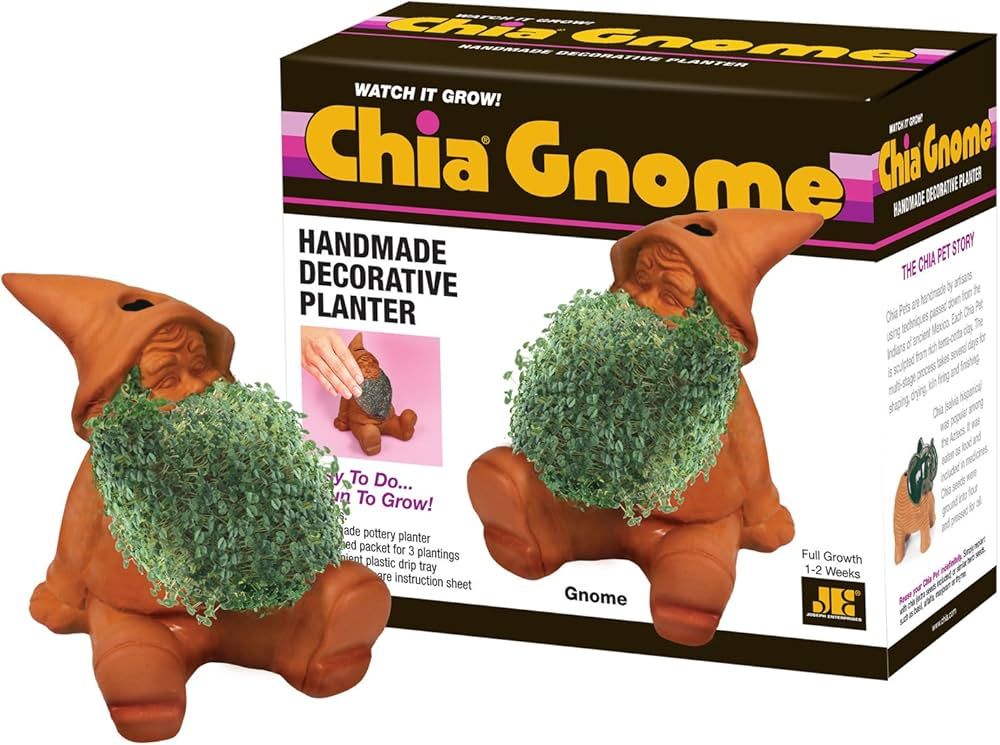 Chia Pet Gnome with Seed Pack, Decorative Pottery Planter, Easy to Do and Fun to Grow, Novelty Gi... | Amazon (US)