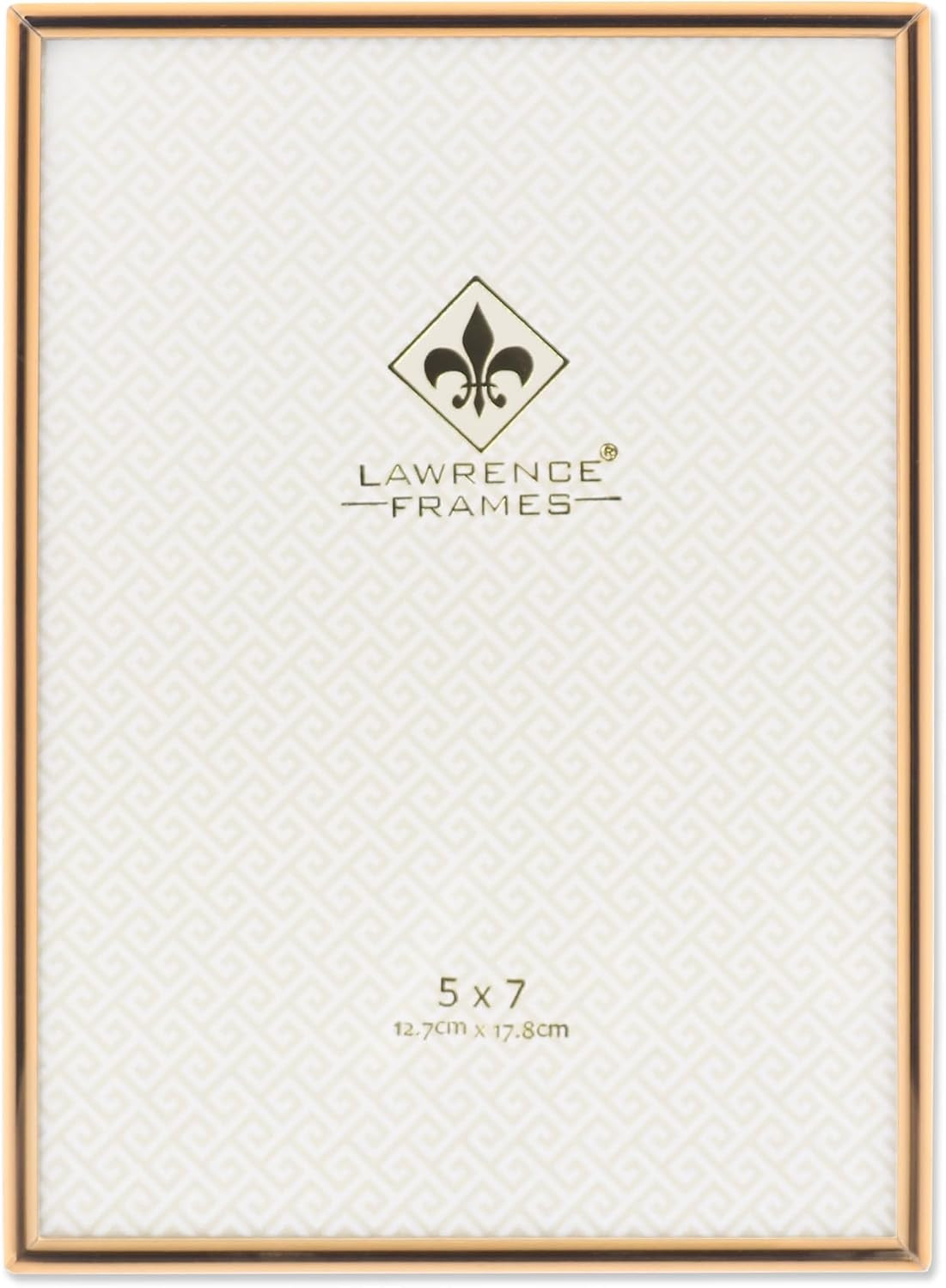Lawrence Frames 5" W x 7" H Simply Gold Metal Picture Frame (670057) | Amazon (US)