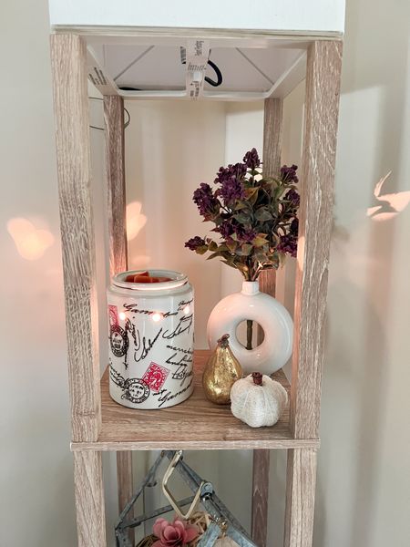 Starting to bring out the fall decor!!

Fall home decor, fall decor, shelf lamp, standing lamp, candle warmer, donut vase, fall florals, pumpkin decor, fall living room decor, living room decor

#LTKSeasonal #LTKunder50 #LTKunder100 #LTKFind #LTKstyletip #LTKsalealert #LTKhome