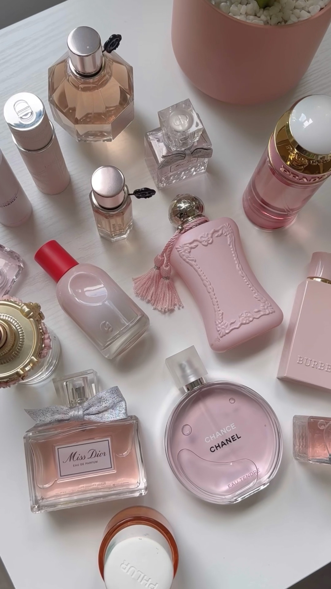 organize my perfume collection with me 🌷 

#LTKhome #LTKbeauty