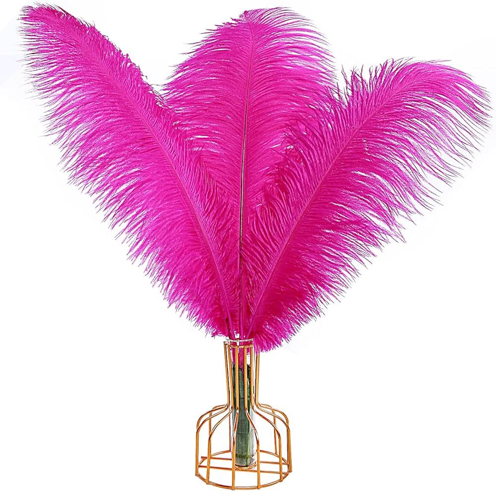 THARAHT Hot Pink Ostrich Feathers 12pcs Large Natural Bulk 12-14Inch 30cm-35cm for Wedding Party ... | Amazon (US)
