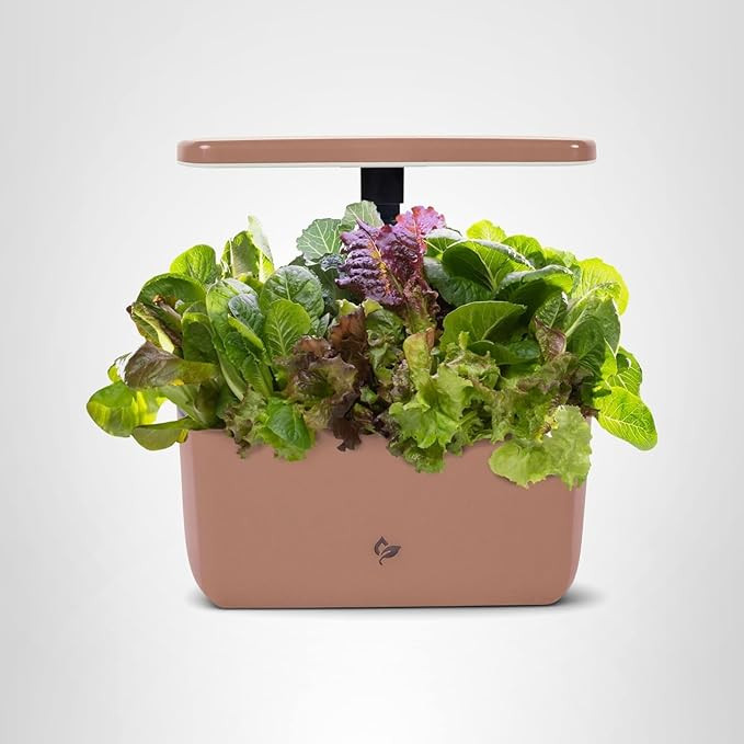 AeroGarden Harvest Lite in Mocha, Soil-Free Indoor Hydroponic Garden with LED Grow Light for Year... | Amazon (US)