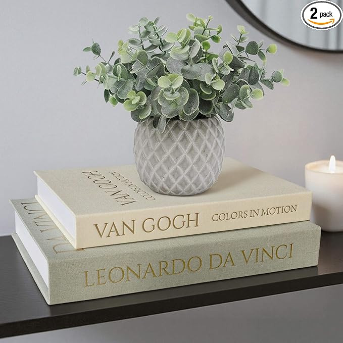 Decorative Storage Books Set of 2, Linen Cover, Gold Letters, White and Green | Amazon (US)