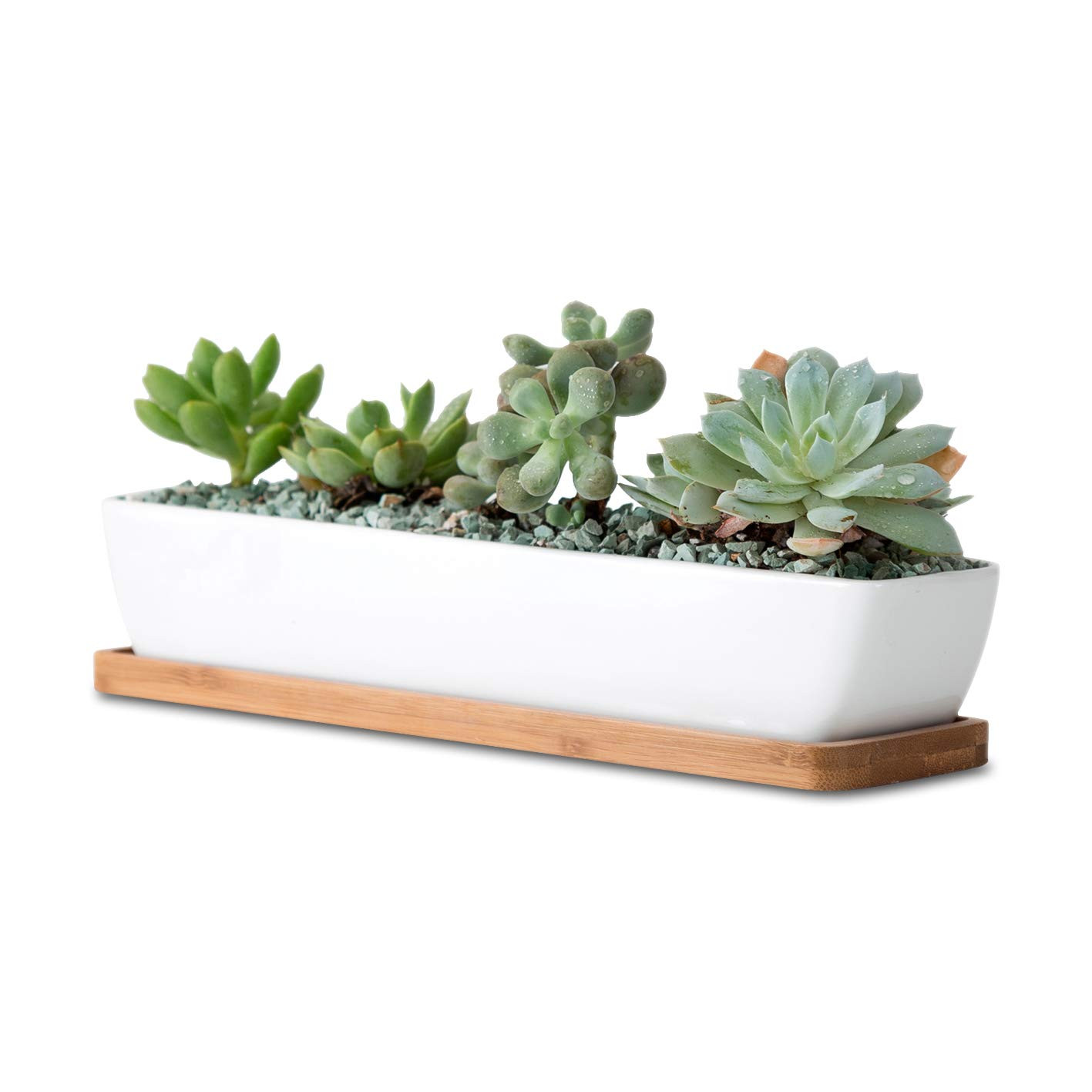 11inch long rectangle White Ceramic Succulent Planter Pots/Mini Flower Plant Containers with Bamboo Saucers. Product size:11x2.36x1.77inch,not include The plant. (long rectangle) | Amazon (US)