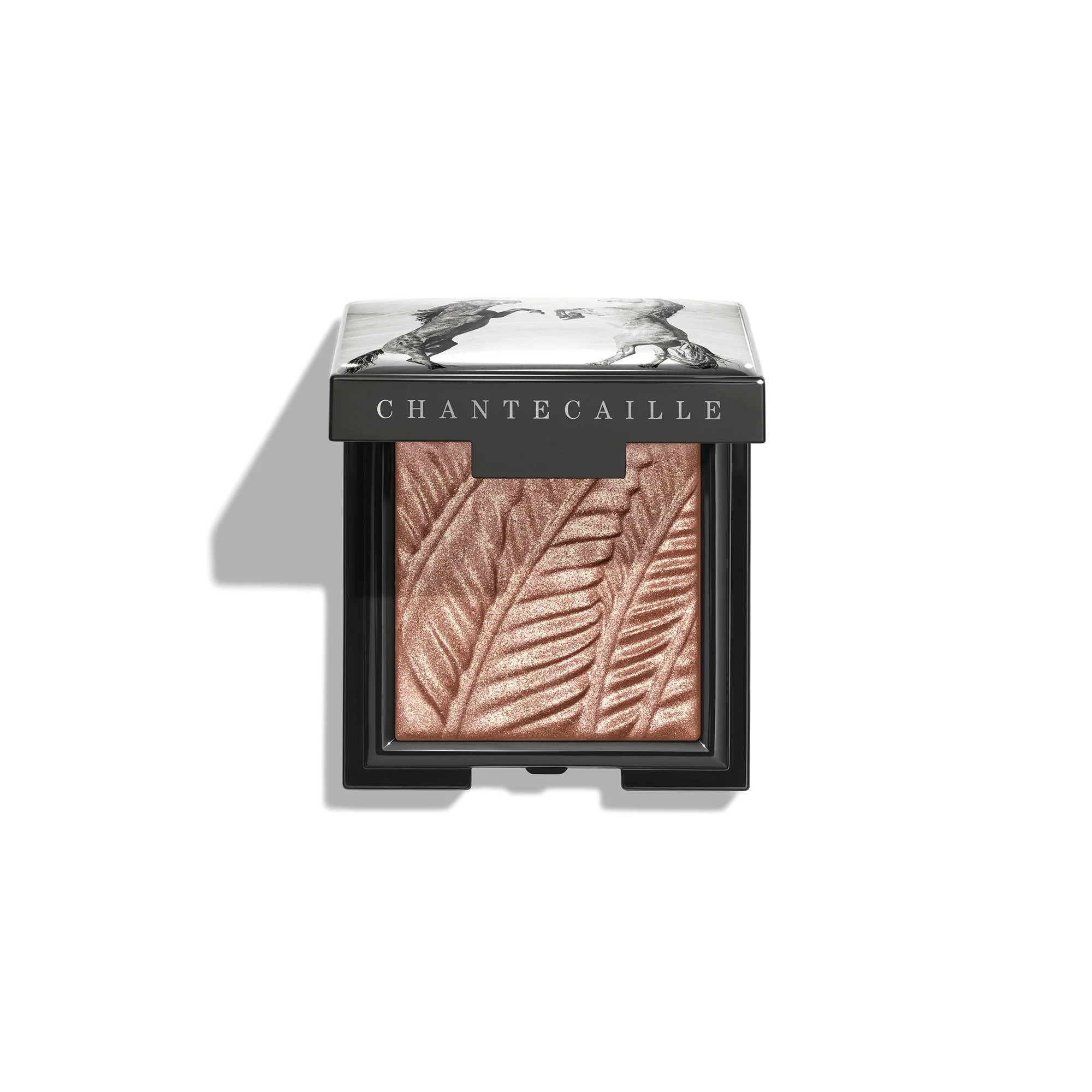 Luminescent Eye Shade | Chantecaille UK 
